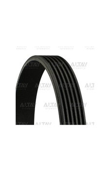 6pk825 V Kayısı 6pk825