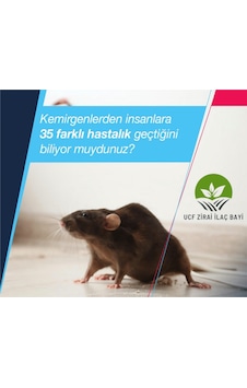 Fare Zehiri Fare İlacı 3 Karışım İlacı Lezzetli Buğdaylar 150 G
