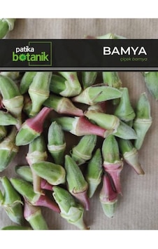 100 Adet Çiçek Bamya Tohumu 100 Adet Çiçek Bamya Tohumu