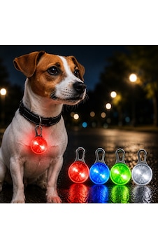 Bakgelal Klipsli Led Evcil Hayvan Güvenlik Işığı Köpek Ve Kedi Tasma Görünürlük Lambası Bakgelal Klipsli Led Evcil Hayvan Güvenlik Işığı Köpek Ve Kedi Tasma Görünürlük Lambası