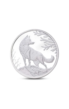 Agakulche Kurt Gümüş Sikke Coin Agakulche Kurt Gümüş Sikke Coin