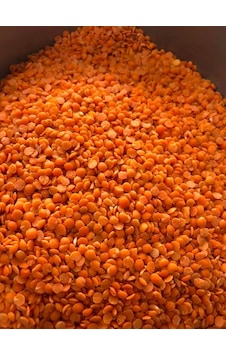 Yerli Kırmızı Yaprak Mercimek 1 KG Yerli Kırmızı Yaprak Mercimek 1 KG