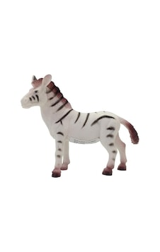 Vahşi Hayvanlar Serisi - Ys2689-zebra