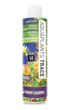Reeflowers Aquaplants Trace Vi 250 Ml (Sıvı Bitki Gübresi ) Reeflowers Aquaplants Trace Vi 250 Ml (Sıvı Bitki Gübresi )