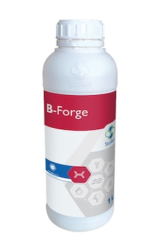 B-Forge (Stoller) 1L B-Forge (Stoller) 1L