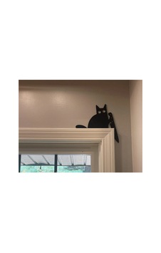 Kedi Duvar Dekoru Eğlenceli Kedi Duvar Dekoru Eğlenceli