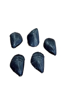 Trançabalıkçılık 5 Adet Midye Kurşun 100 Gr Trançabalıkçılık 5 Adet Midye Kurşun 100 Gr
