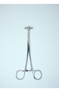 Piercing Septum Delim Pensi Gri Piercing Septum Delim Pensi Gri