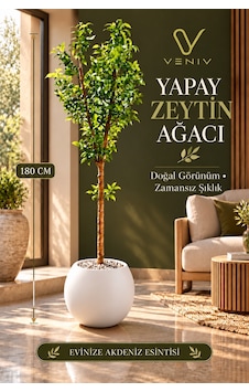 Yapay Zeytin Ağacı 180 Cm Dekoratif Büyük Boy Yapay Ağaç, Salon Ve Ofis Dekorasyonu Diğer Yapay Zeytin Ağacı 180 Cm Dekoratif Büyük Boy Yapay Ağaç, Salon Ve Ofis Dekorasyonu Diğer