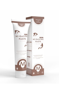 Miniklisi Mi-gastro Paste Mide Bağırsak Malt Macunu 100 G Miniklisi Mi-gastro Paste Mide Bağırsak Malt Macunu 100 G
