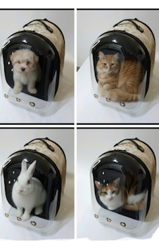 Küçük Köpek Ve Kedi Taşıma Astronot Tünellli Çanta Sırtta Ve Elde Taşımaya Uygun Çanta Küçük Köpek Ve Kedi Taşıma Astronot Tünellli Çanta Sırtta Ve Elde Taşımaya Uygun Çanta