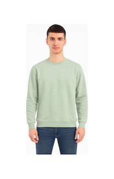 Classics Men Erkek Oversize Uzun Kol Sıfır Yaka Sweatshırt-7383 Su Yeşili