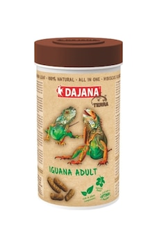 Dajana Iguana Adult All In One 1000 Ml 240 G