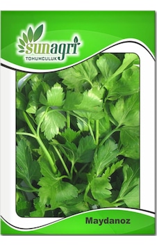 Maydanoz Tohumu 25gr Sebze Tohumu Paket Maydanoz Tohumu 25gr Sebze Tohumu Paket