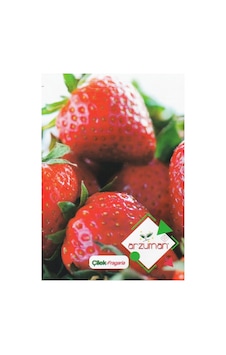 Çilek Tohumu Fragaria 100 Adet Çilek Tohumu Fragaria 100 Adet