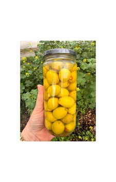 Portakal Kabuğu Dolgulu Yeşil Zeytin 500 Gr