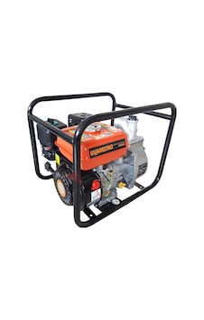 Guardino Gw50 Benzinli Su Motoru - 2 İnç