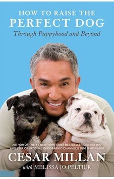 How To Raise The Perfect Dog How To Raise The Perfect Dog