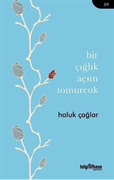 Bir Çığlık Açsın Tomurcuk - Haluk Çağlar - Telgrafhane Yayınları Bir Çığlık Açsın Tomurcuk - Haluk Çağlar - Telgrafhane Yayınları