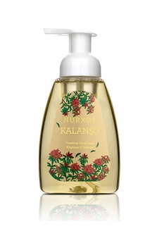 Nurxos 9558 Kalanşo Köpüren El Sabunu 8681124695581 350 ML Nurxos 9558 Kalanşo Köpüren El Sabunu 8681124695581 350 ML