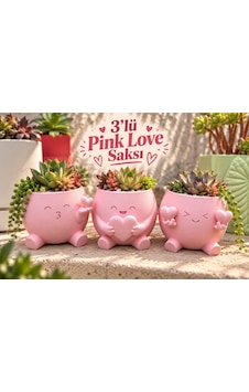 3'lü Kalp Detaylı Pembe Dekoratif Saksı Seti 3'lü Kalp Detaylı Pembe Dekoratif Saksı Seti