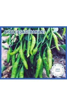 Biogen Biber Tohumu Ayaz Aşağı Bakan 10gr 1 Paket