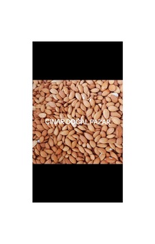 Kayısı Çekirdeği Tatlı 1 Kg Diğer