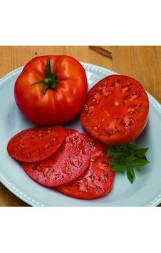 Beef F1 Sırık Kahvaltılık Etli Domates Tohumu 10 Tohum Beef F1 Sırık Kahvaltılık Etli Domates Tohumu 10 Tohum