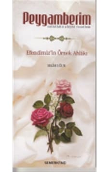 Peygamberim S.a.s. Efendimiz'in Örnek Ahlakı