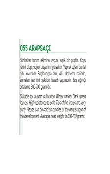 Agrodal Tarım Ata Tohumu Yerli Marul Arapsaçı 1000 Adet Tohum Sku: Zeusstk620d82559d