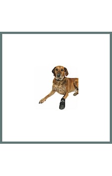 Trixie Neopren Köpek Patiği 2 Adet Siyah Xxxl Ventra Trixie Neopren Köpek Patiği 2 Adet Siyah Xxxl Ventra