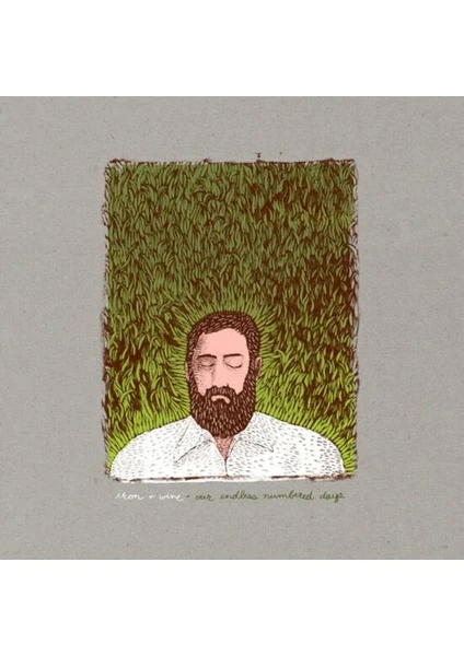 Iron & Wine Our Endless Numbered Days 2lp Plak Iron & Wine Our Endless Numbered Days 2lp Plak