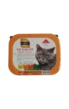 Can's Cat Kedi Çimi