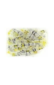 River Bezli Silikon Karides 5.5 Cm 5Li Paket Renk:06 River Bezli Silikon Karides 5.5 Cm 5Li Paket Renk:06