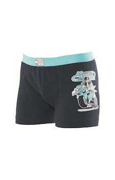 10 Lu Paket Anıt Baskılı Erkek Çocuk Likralı Boxer 4783 10 Lu Paket Anıt Baskılı Erkek Çocuk Likralı Boxer 4783