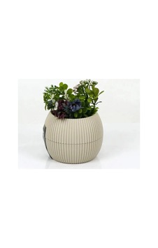 Jenerik Mercan Saksı 11.5x12 Cm 0.70 Lt Jenerik Mercan Saksı 11.5x12 Cm 0.70 Lt
