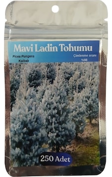 100 Adet Mavi Ladin Tohumu, Picea Pungens Kaibab 100 Adet Mavi Ladin Tohumu, Picea Pungens Kaibab