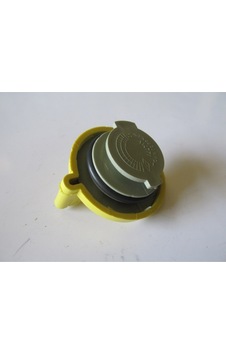 Renault Scenıc- 00/03 Motor Yağ Kapağı Benzinli 1,6 16v/2,0 16v 52,40mm Sarı -8200062947 Renault Scenıc- 00/03 Motor Yağ Kapağı Benzinli 1,6 16v/2,0 16v 52,40mm Sarı -8200062947