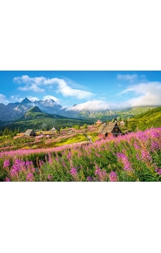 Castorland 1000 Parça Puzzle Hala Gasienicowa . Tatras . Poland Castorland 1000 Parça Puzzle Hala Gasienicowa . Tatras . Poland