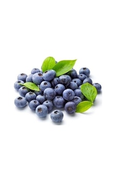 2 Adet Tüplü Yaban Mersini(Likapa,Blueberry,Maviyemiş) Fidanı 2 Adet Tüplü Yaban Mersini(Likapa,Blueberry,Maviyemiş) Fidanı
