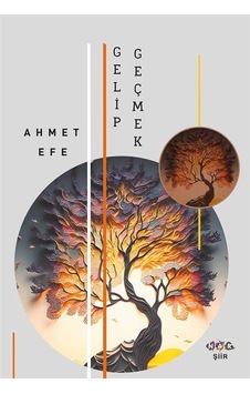 Gelip Geçmek - Ahmet Efe - Nar Yayınları Gelip Geçmek - Ahmet Efe - Nar Yayınları