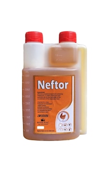 Royal Ilaç Neftor 500 Ml Hırıltı Ve Nefes Ürünü Royal Ilaç Neftor 500 Ml Hırıltı Ve Nefes Ürünü