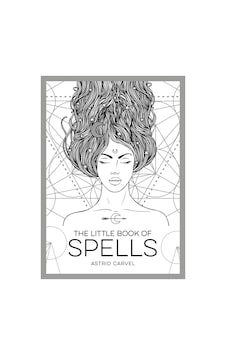The Little Book of Spells - The Little Book Of - Summersdale