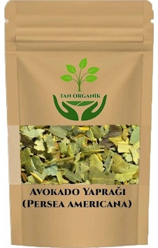 Avokado Yaprağı Persea Americana 1000gr Avokado Yaprağı Persea Americana 1000gr