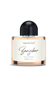 Hc Care Opulence Zanzibar Erkek Parfüm EDP 100 ML Hc Care Opulence Zanzibar Erkek Parfüm EDP 100 ML