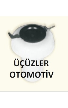 R12 Fren Hidrolik Depo Kapağı Şamandralı 7700679936