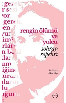 Rengin Ölümü Ve Yolcu
