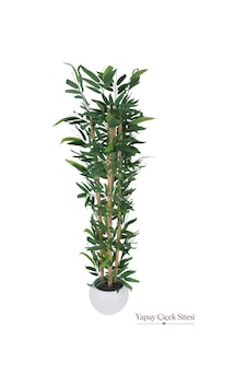 Yapay Çiçek Sitesi Beyaz Küre Saksıda 4 Gövdeli Yapay Bambu Ağacı 150 Cm Yeşil Yapay Çiçek Sitesi Beyaz Küre Saksıda 4 Gövdeli Yapay Bambu Ağacı 150 Cm Yeşil