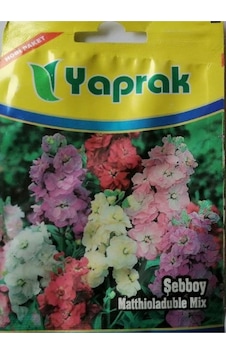 Çiçek Tohumu Şebboy 75 Ad Çiçek Tohumu Şebboy 75 Ad