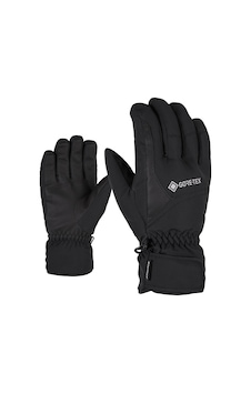 Ziener ZIENER GARWEN GTX GLOVE SKI ALPINE KAYAK ELDİVENİ Siyah